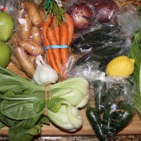 Farm Fresh To You – Organic Produce Delivery