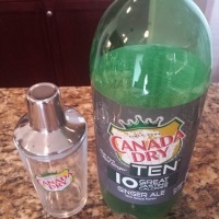 FREE Canada Dry Martini Shaker at Target!