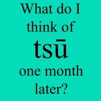 Tsu Social Network – One Month Later