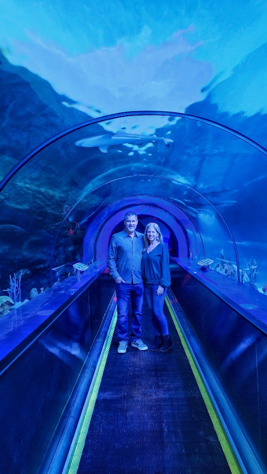 Last night we got a sneak peek at the @seaworldsandiego newly reimagined Shark Encounter 🦈✨ The upgraded experience is officially open and it was so fun getting an early look at everything they've updated! (hosted)
#seaworld #sharkencounter #sandiego #travelgram