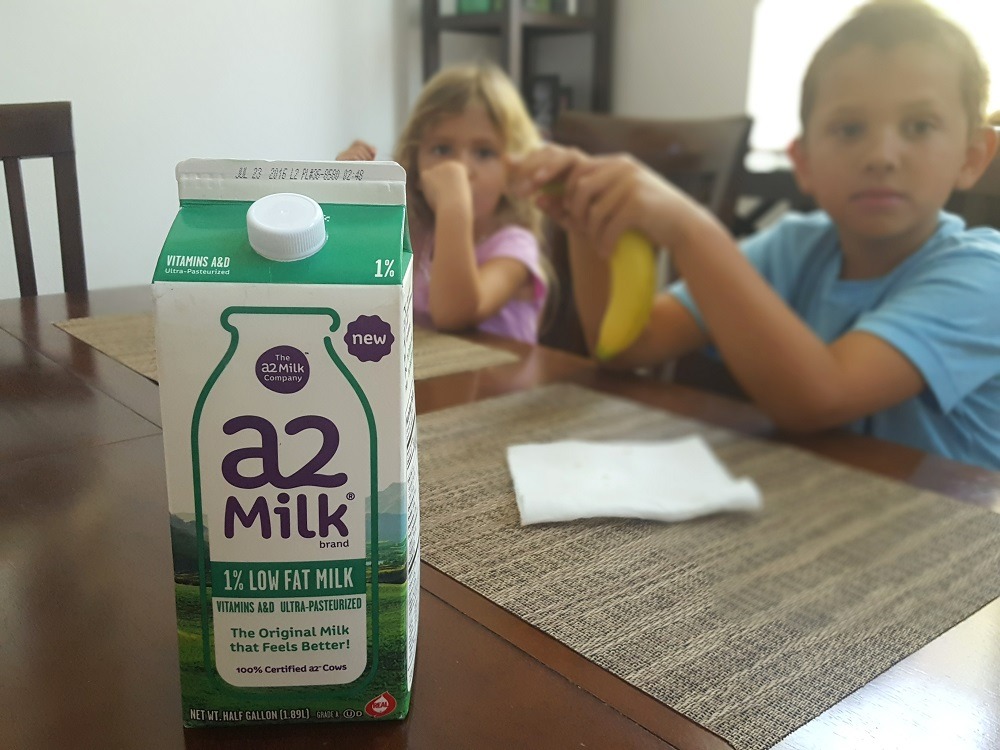 Healthy snacks with a2 Milk® #a2milk #ad #IC
